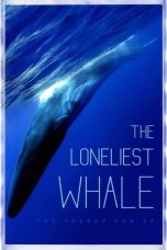 Nonton film lk21The Loneliest Whale: The Search for 52 (2021) indofilm