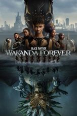 Nonton film lk21Black Panther: Wakanda Forever (2022) indofilm