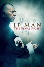 Nonton film Ip Man: The Final Fight sub indo