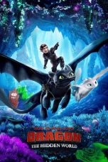 How to Train Your Dragon: The Hidden World sub